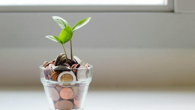 ガラスのカップに入った硬貨とその中から芽を出している植物。ADHDの方に向けた金銭管理のコツに関する記事。