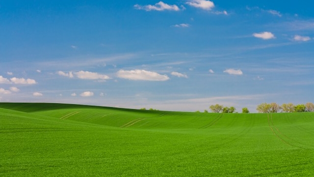 広がる緑の草原と青い空の風景。