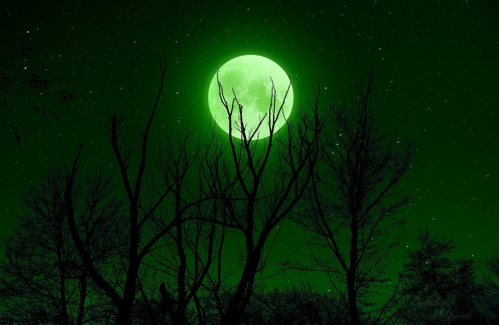 緑色に輝く満月と星空の下、シルエットになった木々の風景。
