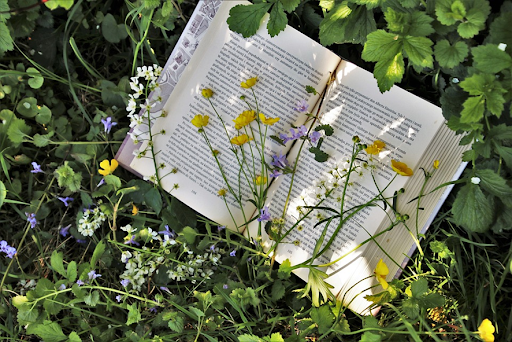 草むらに置かれた開いた本と野花。HSP（高感受性）と発達障害（ASD）の違い、愛着障害からの影響について考察する内容に関連する画像。