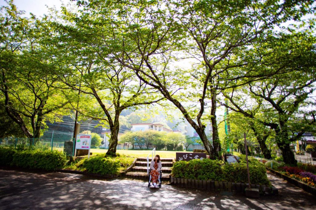 緑豊かな公園の景色、遠くに建物が見える写真