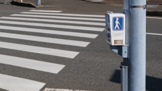 音声信号付きの歩行者用信号機が設置された横断歩道の写真。視覚障害者が安全に横断できるように支援します。