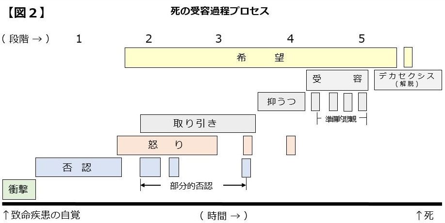 死の受容過程を示す図表、各段階の時間と感情の変化を示す