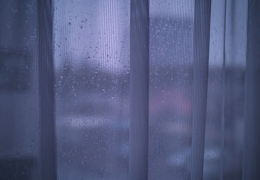雨が降る窓の外が見えるカーテン越しの風景。静かな雰囲気で「私とてんかん」に関する記事に関連している。