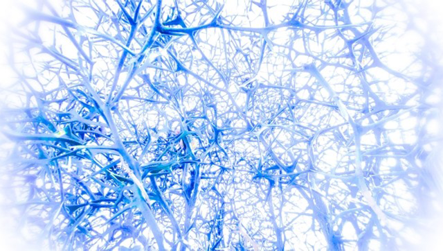 青いニューロンのネットワークを示す抽象的なイメージ。ブログ「統合失調症は脳の病気だと私が納得した時」に関連する画像。