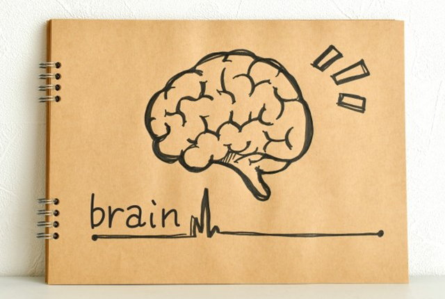 ノートに描かれた脳と心電図のイラスト。ブログ「統合失調症は脳の病気だと私が納得した時」に関連する画像。