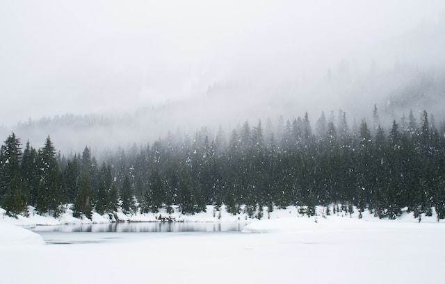 雪に覆われた森と湖の風景。
