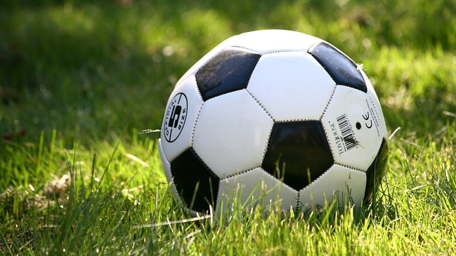 草の上に置かれたサッカーボール。