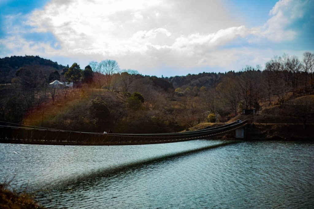 美しい自然に囲まれた吊り橋の風景