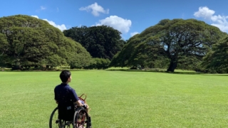 広い公園で車いすに座って景色を眺めている男性。自然の中でリラックスしている様子が伺えます。