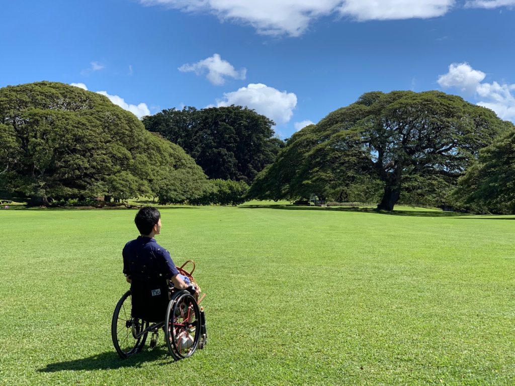 広い公園で車いすに座って景色を眺めている男性。自然の中でリラックスしている様子が伺えます。