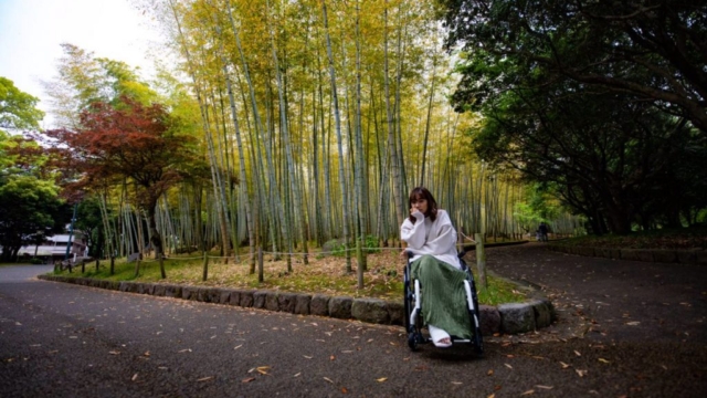 車椅子に座った女性が竹林の中の道端にいる様子。