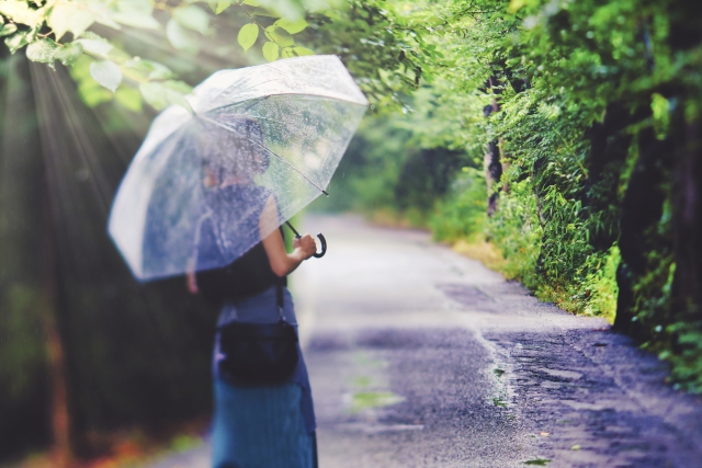 雨の日に傘をさして林道を歩く女性