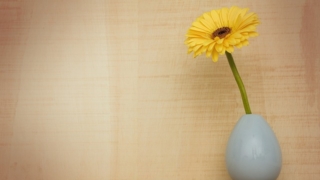 青い花瓶に活けられた黄色いガーベラの花