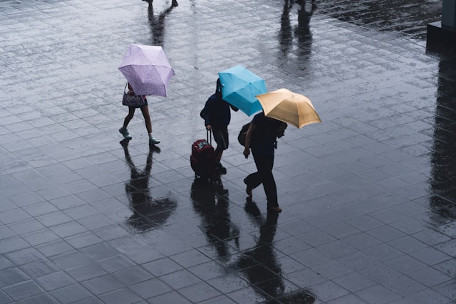 雨の中、傘をさして歩く人々の様子。