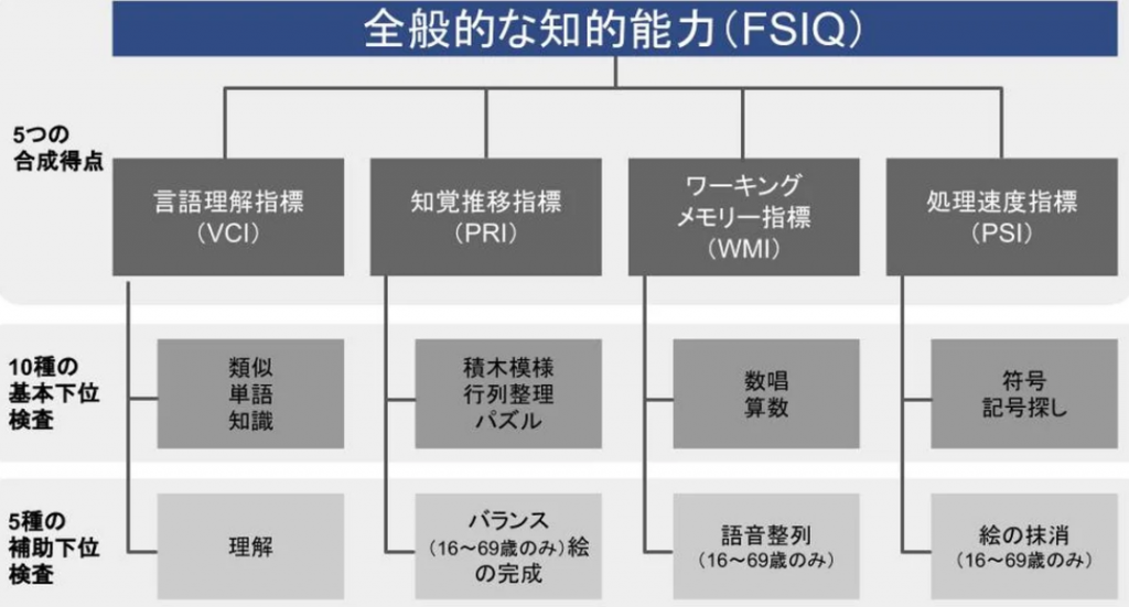 全般的な知的能力を示すWAIS検査の構造図。言語理解指標、知覚推理指標、ワーキングメモリー指標、処理速度指標の各項目が分かれています。