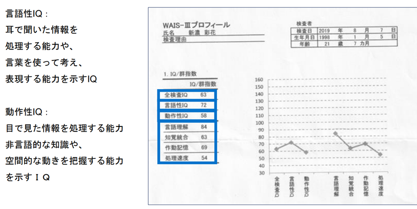 WAIS-IIIプロファイルのIQスコアチャート。言語性IQと動作性IQの違いを示し、全検査IQ、言語性IQ、動作性IQ、知覚統合、作動記憶、処理速度のスコアが表示されています。